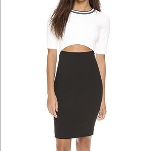 NWT Alice and Olivia “Kenya” dress